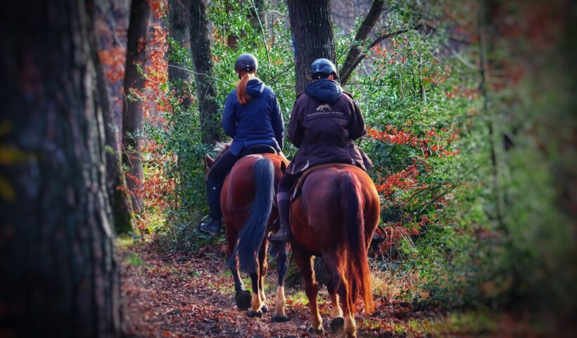 escursioni a cavallo