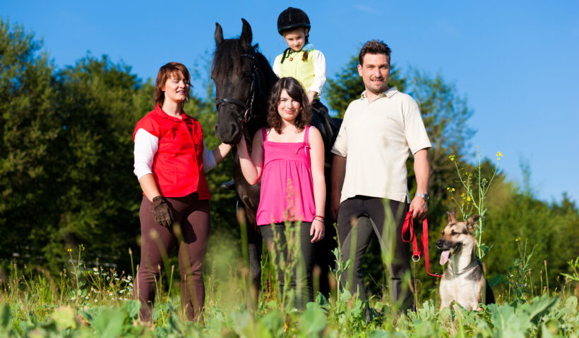 acquisto cavallo: intestarlo a un mionorenne