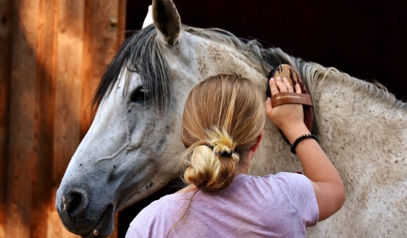 cura del cavallo