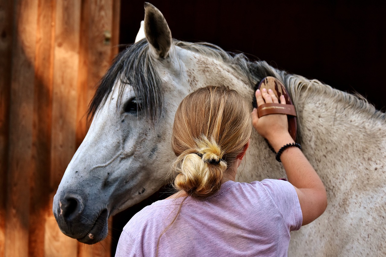 cura del cavallo