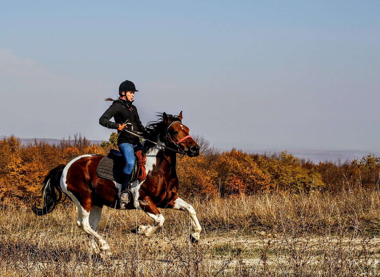 cavallo al galoppo i consigli di Piero Santini