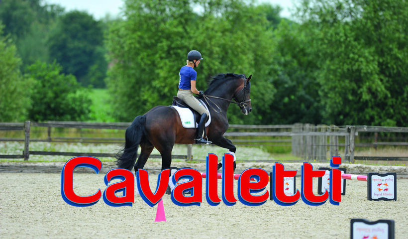 Esercizi equitazione: cavalletti al galoppo