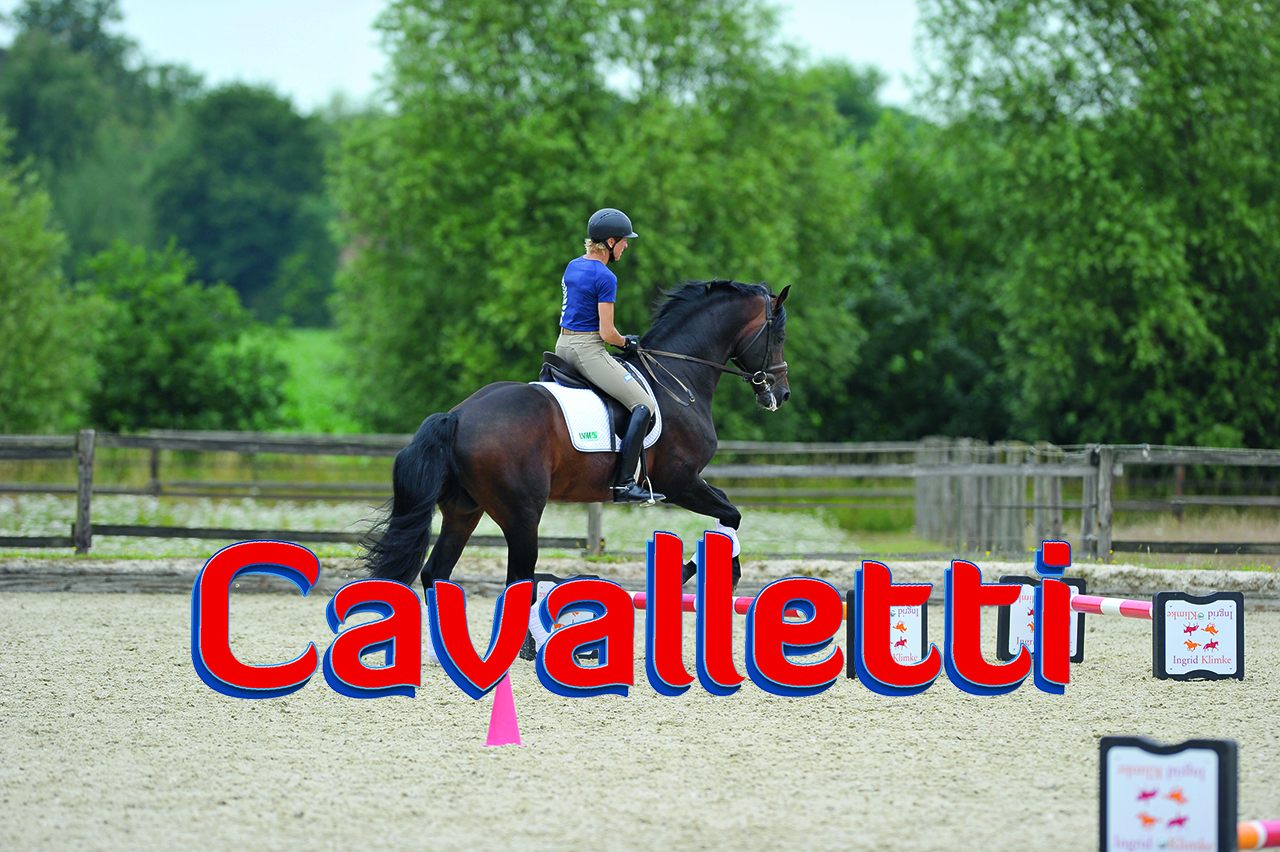 Esercizi equitazione: cavalletti al galoppo