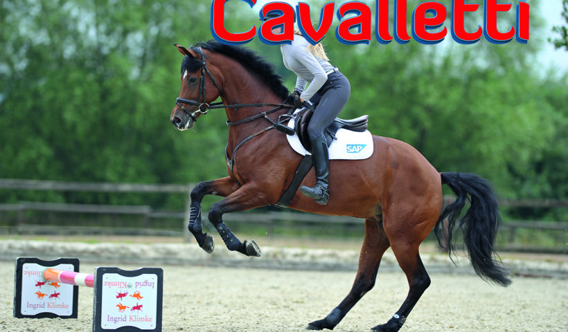 movimento del cavallo