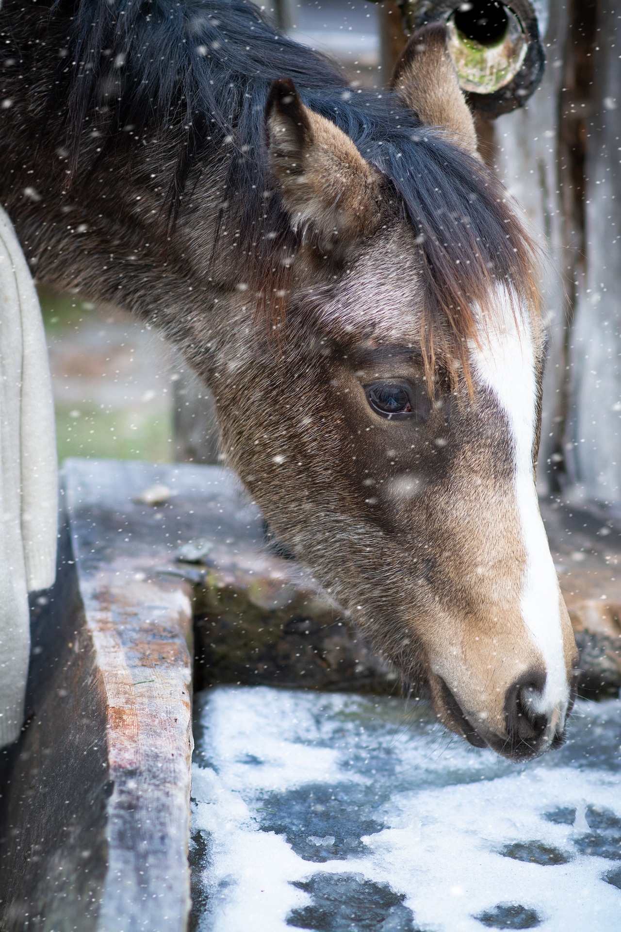 bere acqua fredda fa male