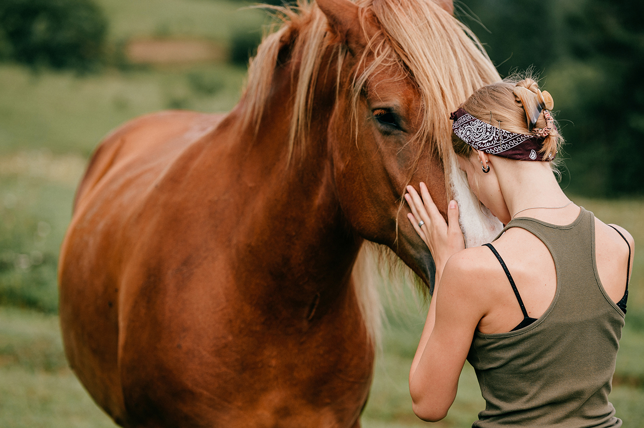 cavallo femmina gestire comportamento