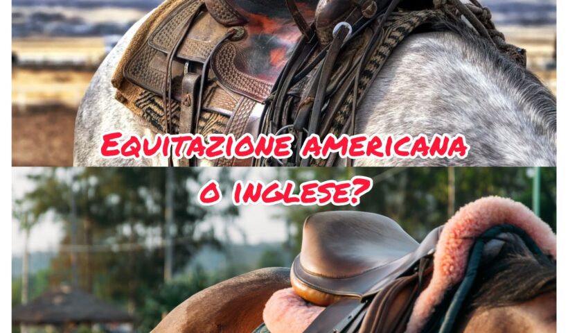 scuole di equitazione. Inglese e western a confronto