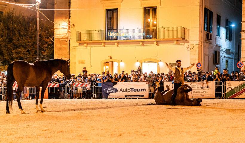 spettacoli equestri giuseppe colapinto